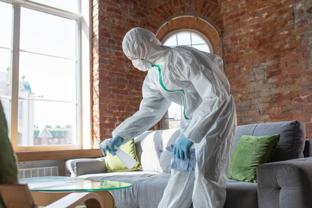 Why You Should Choose Our Mold Remediation Services in Eureka, IL