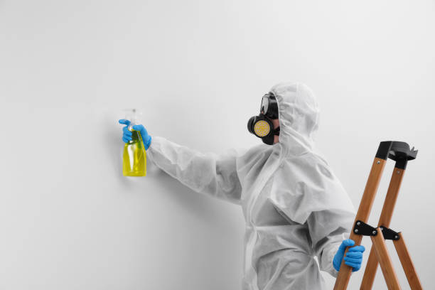 Biohazard Mold Removal